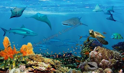 Sauna-Collage Unterwasserlandschaft 4740x2790-600dpi