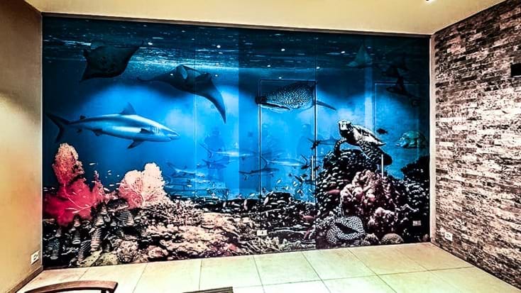 saunabild unterwasserlandschaft